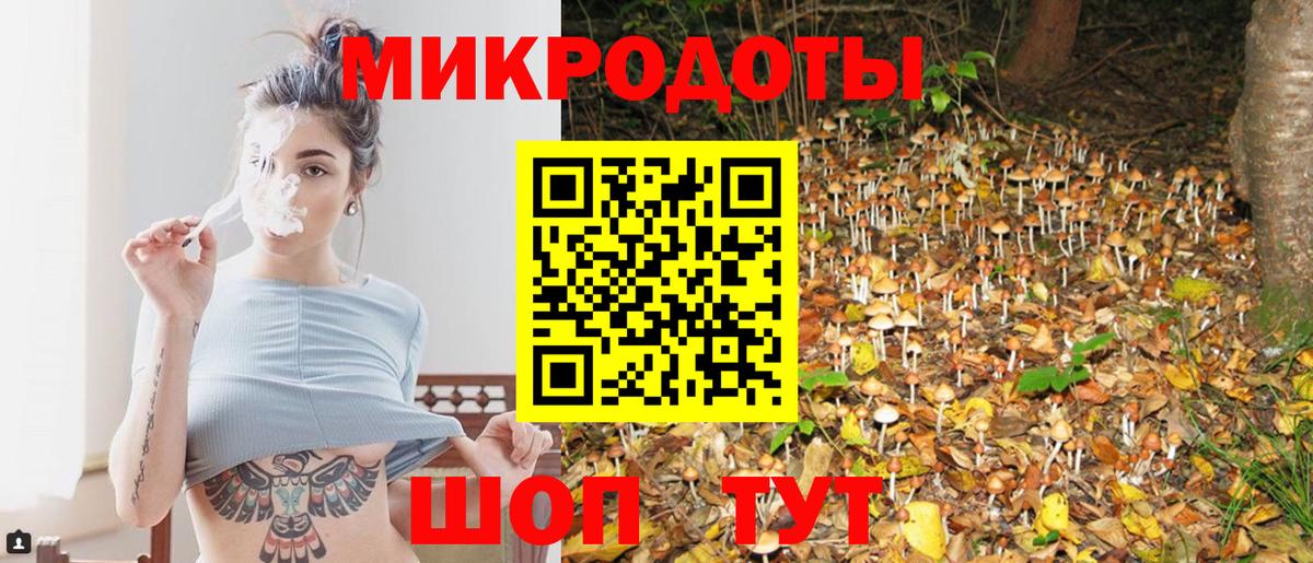 Новотроицк  Псилоцибиновые грибы Psilocybe  Вход с VPN 